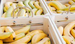 Sfaturi pentru a ține bananele în depozit?