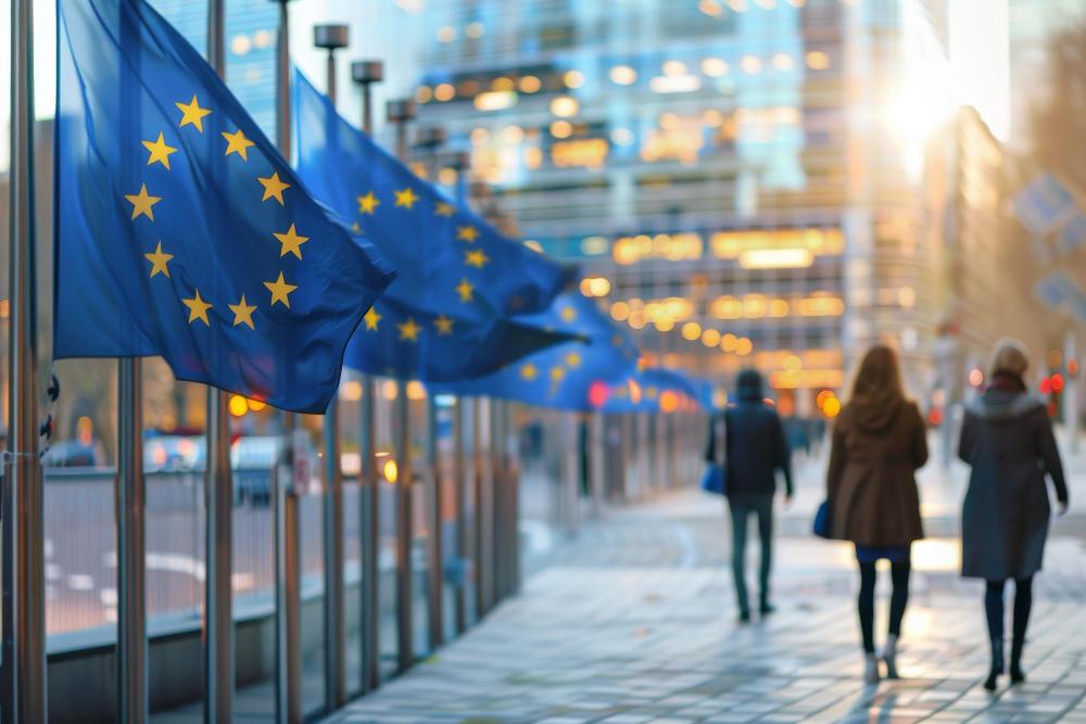 Alte surse de finanțare (granturi, acceleratoare/incubatoare, fonduri europene)