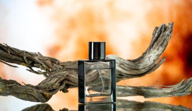 De ce consultanța specializată face diferența atunci când alegi un parfum la Obsentum